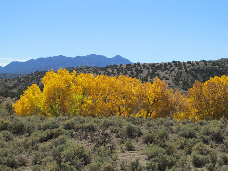 %_tempFileNameIMG_5169%